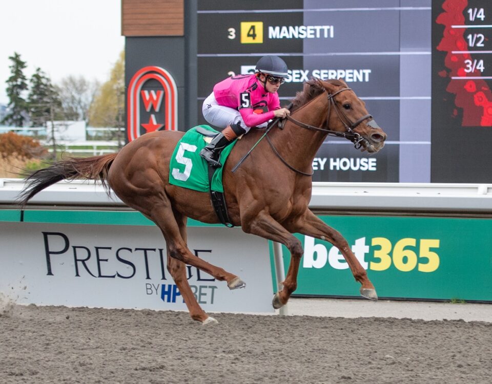 Paramount Prince - Julie Wright - Daily Racing Form