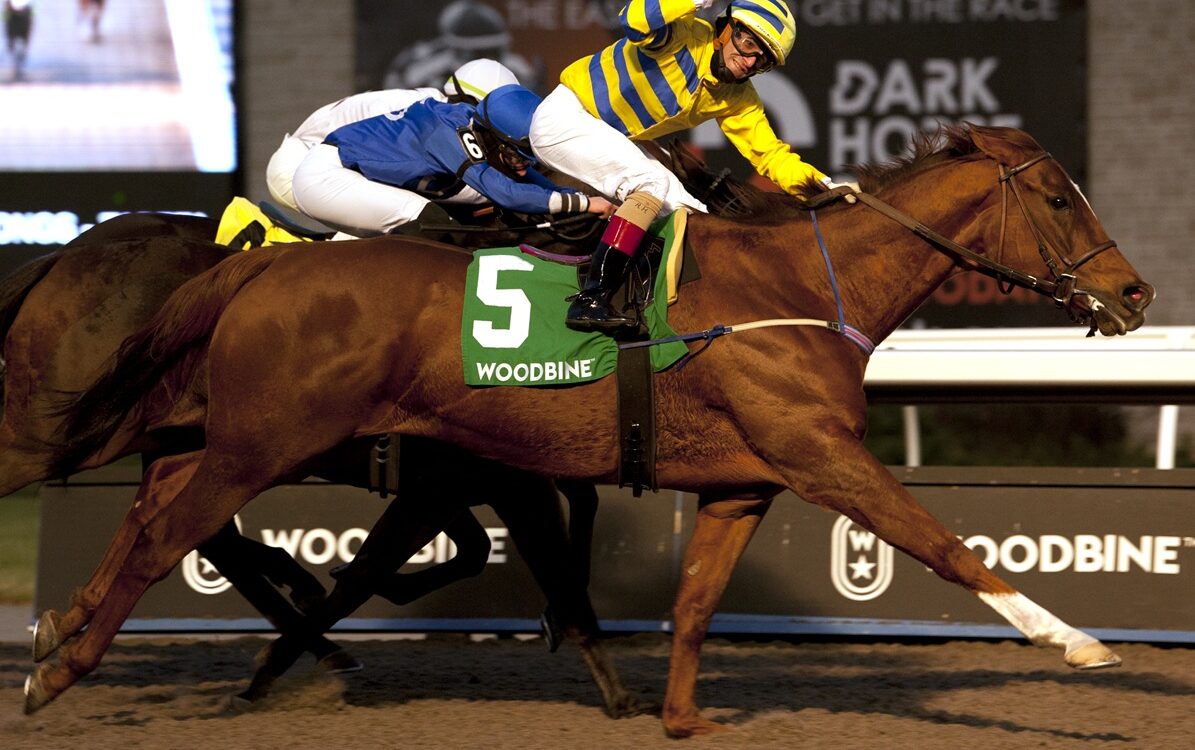 Pink Lloyd - Woodbine - Michael Burns Photo