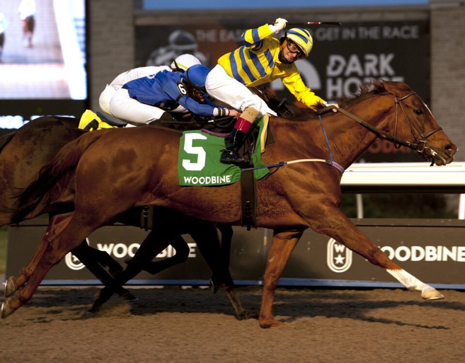 Pink Lloyd - Woodbine - Michael Burns Photo