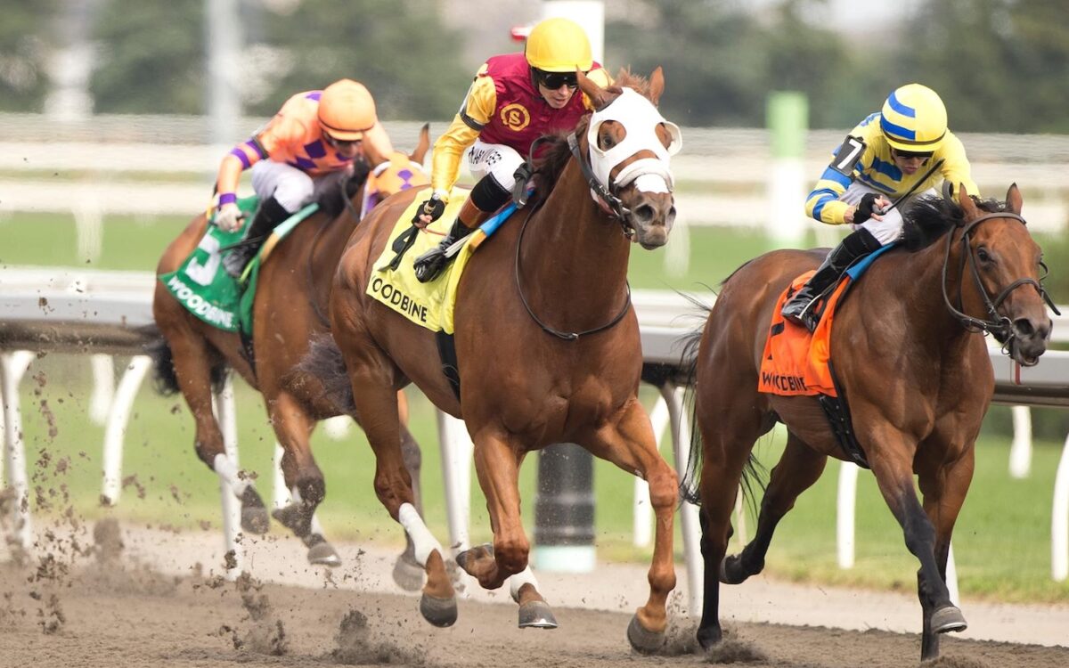 Poulin in O T - Pink Lloyd Stakes $100,000 - Benoit Photo.