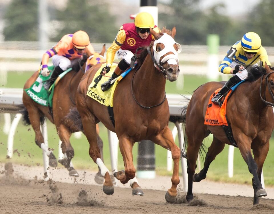 Poulin in O T - Pink Lloyd Stakes $100,000 - Benoit Photo.
