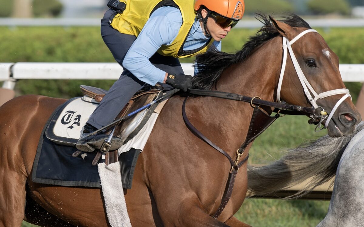 Renegado con Irad Ortiz, Jr. up, Saratoga -Barbara D. Livingston - Daily Racing Form