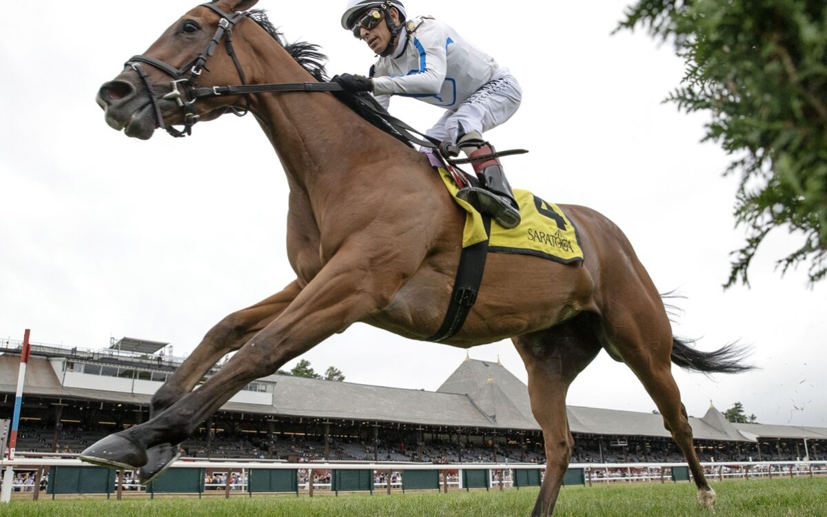 Saratoga Race Course - Barbara D. Livingston - Daily Racing Form