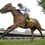 Saratoga Race Course - Barbara D. Livingston - Daily Racing Form