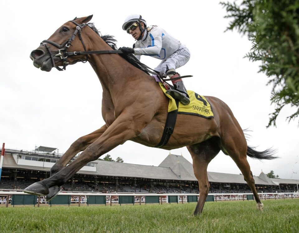 Saratoga Race Course - Barbara D. Livingston - Daily Racing Form