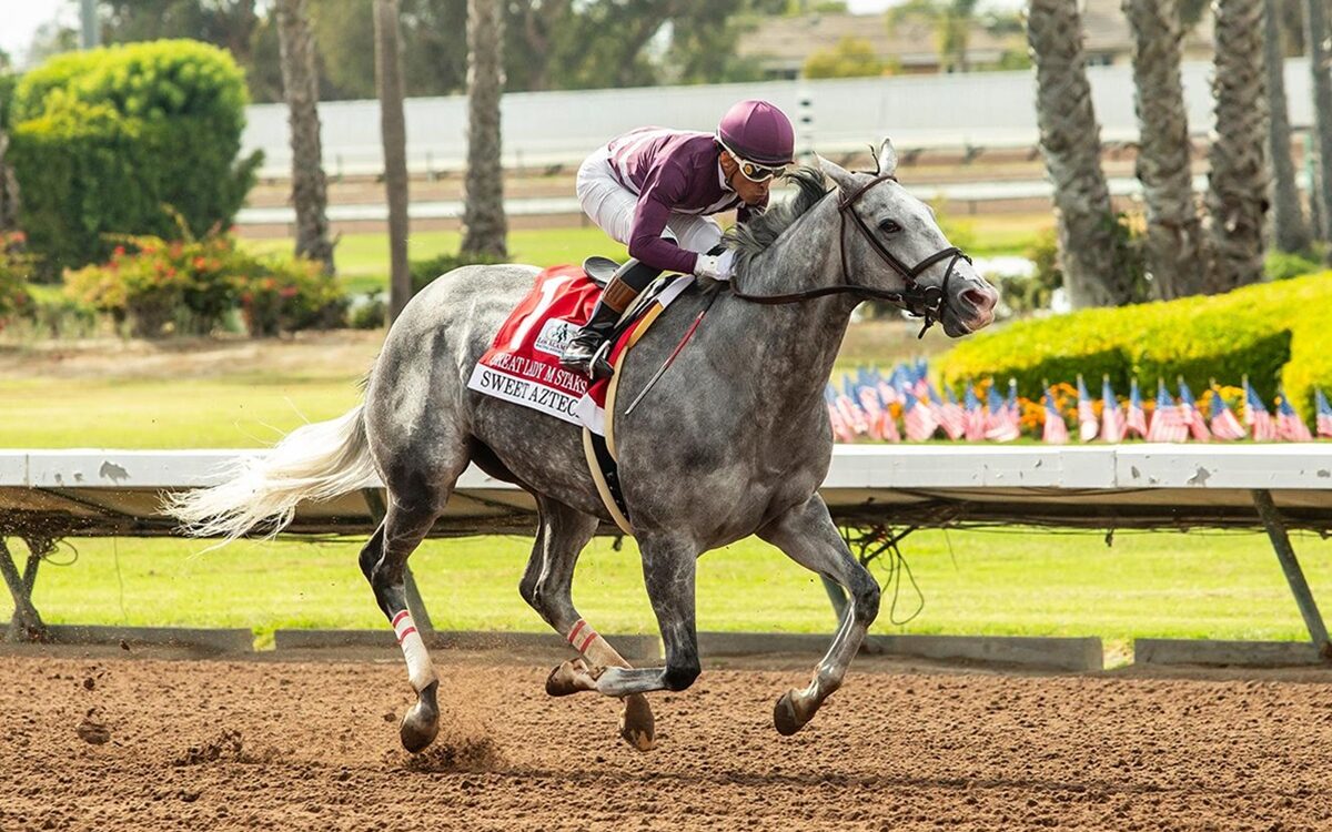 Sweet Azteca - Great Lady M Stakes G2 2026 - Los Alamitos Race Course - Benoit Photo