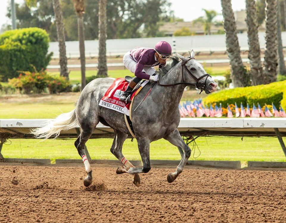 Sweet Azteca - Great Lady M Stakes G2 2026 - Los Alamitos Race Course - Benoit Photo