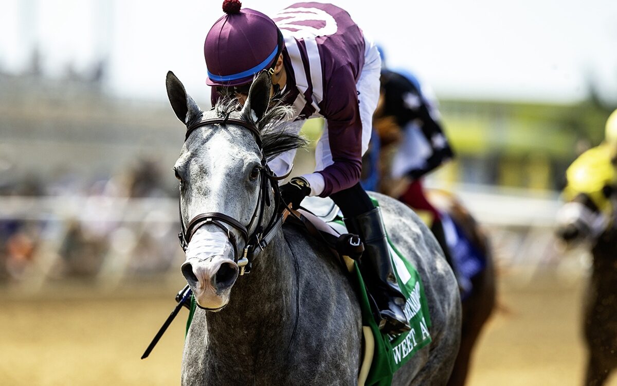 Sweet Azteca - Benoit Photo