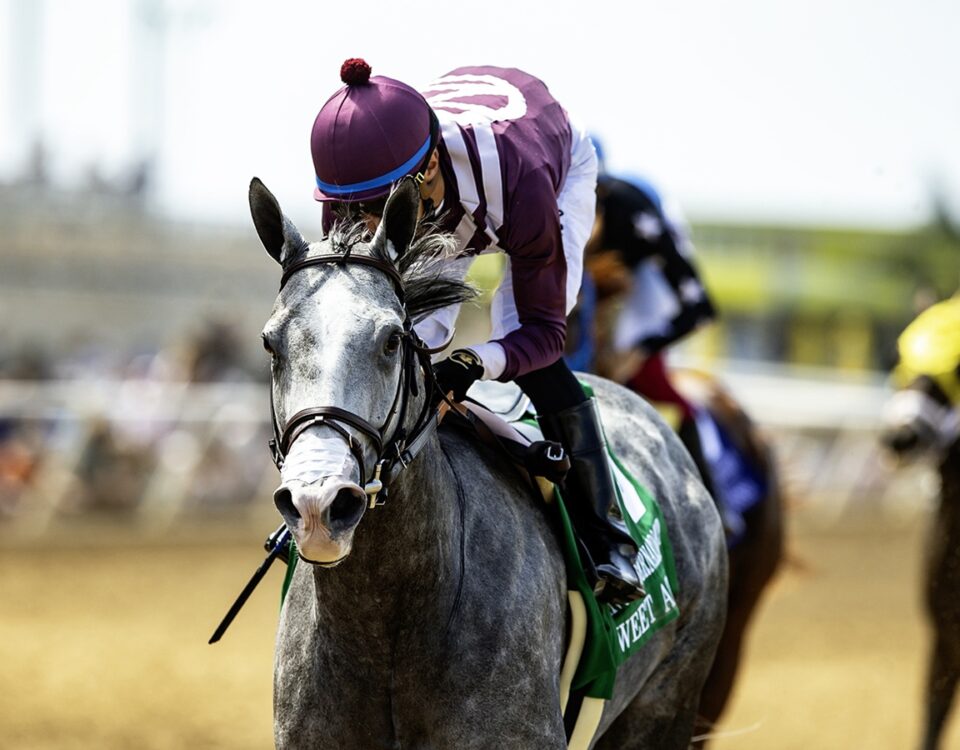 Sweet Azteca - Benoit Photo