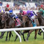 Title Role (GB) - Debbie Roma - Daily Racing Form