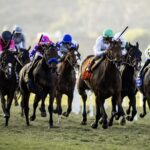Del Mar Thoroughbred Club, Del Mar CA. © BENOIT PHOTO