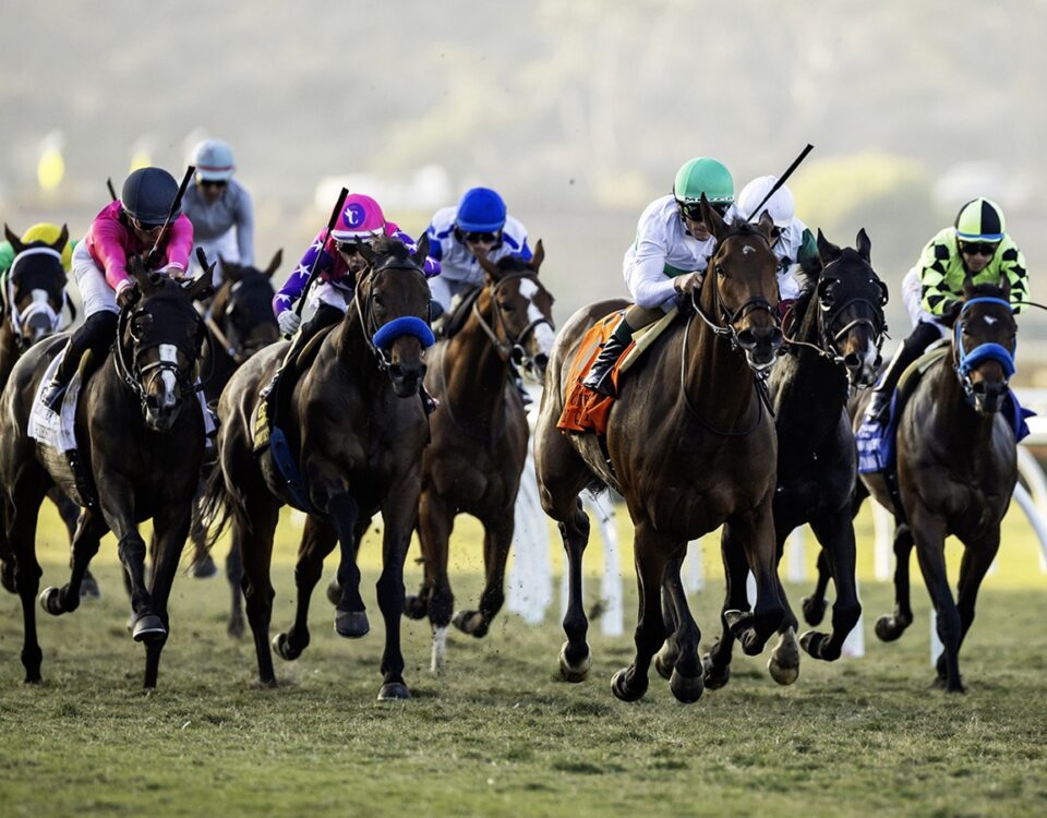Del Mar Thoroughbred Club, Del Mar CA. © BENOIT PHOTO
