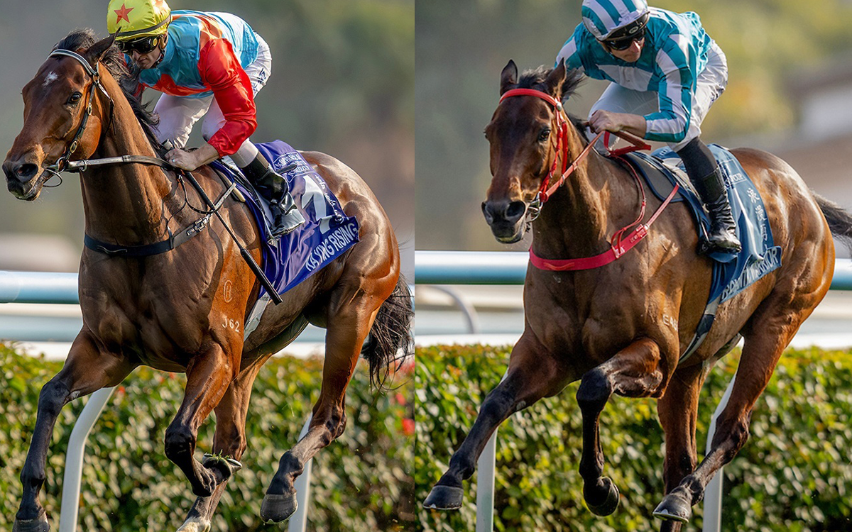 Ka Ying Rising y Romantic Warrior - Hong Kong Jockey Club