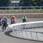 Woodbine Scenic - Julie Wright - Daily Racing Form