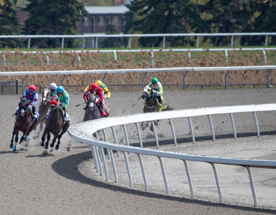 Woodbine Scenic - Julie Wright - Daily Racing Form