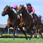 Zulu Kingdom (parte externa) y Mi Bago - Saratoga - Coglianese Photo