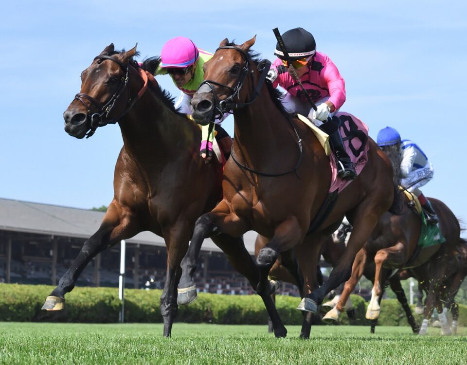 Zulu Kingdom (parte externa) y Mi Bago - Saratoga - Coglianese Photo
