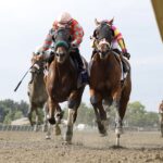 Tap to Open - Micanopy - Parx Racing in Bensalem, Pa. Photo by Bill Denver/EQUI-PHOTO