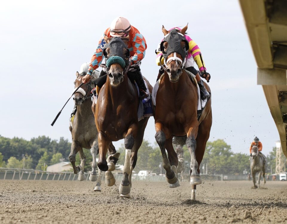 Tap to Open - Micanopy - Parx Racing in Bensalem, Pa. Photo by Bill Denver/EQUI-PHOTO