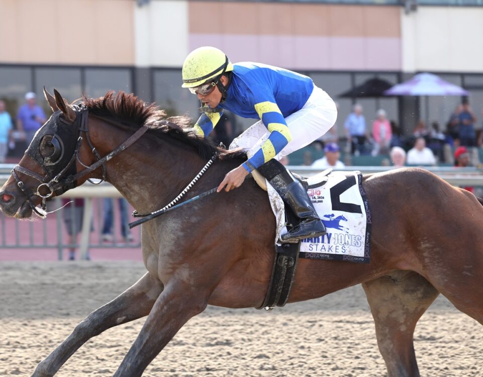 Micanopy - Parx Racing in Bensalem, Pa. Photo by Bill Denver/EQUI-PHOTO