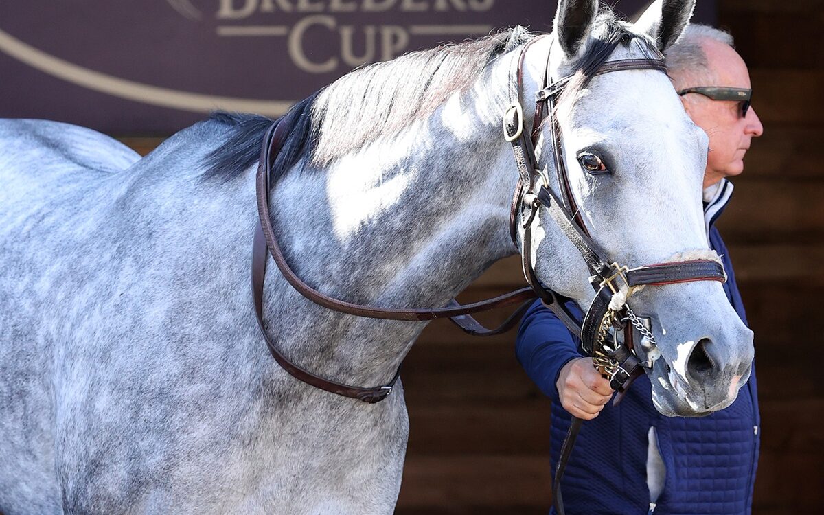 Ag Bullet - Barbara D. Livingston - Daily Racing Form