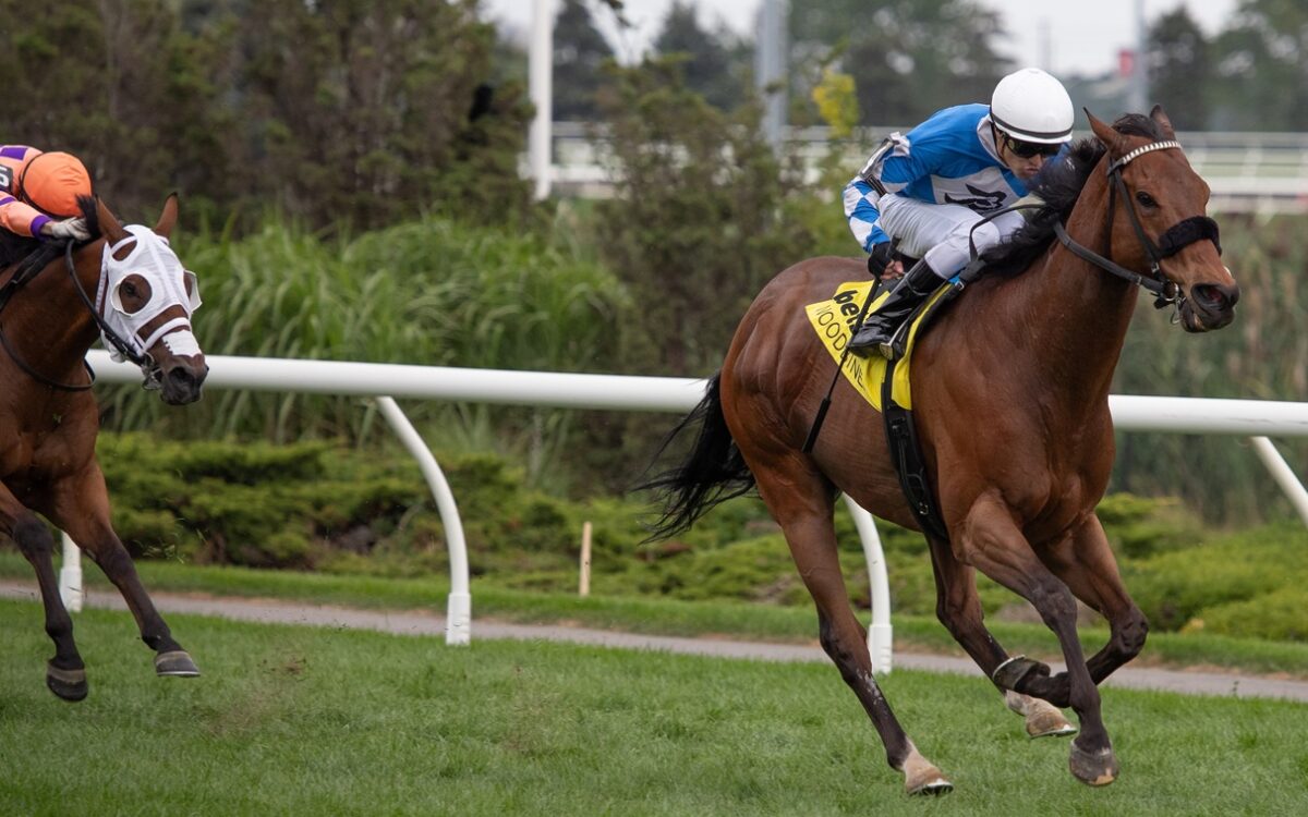Artemus Citylimits - Julie Wright - Daily Racing Form