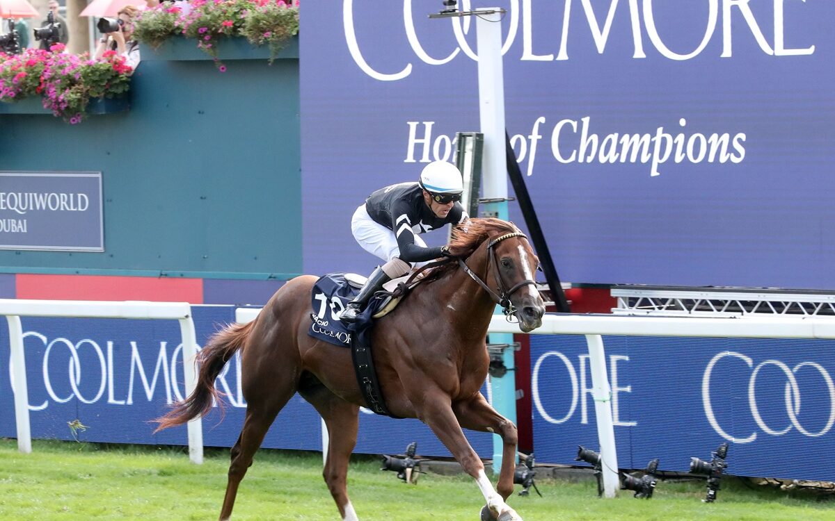Bacio - Coolmore City Of Troy Nunthrope Stakes Group 1 - York Racecourse - Coady Media - Renee Torbit