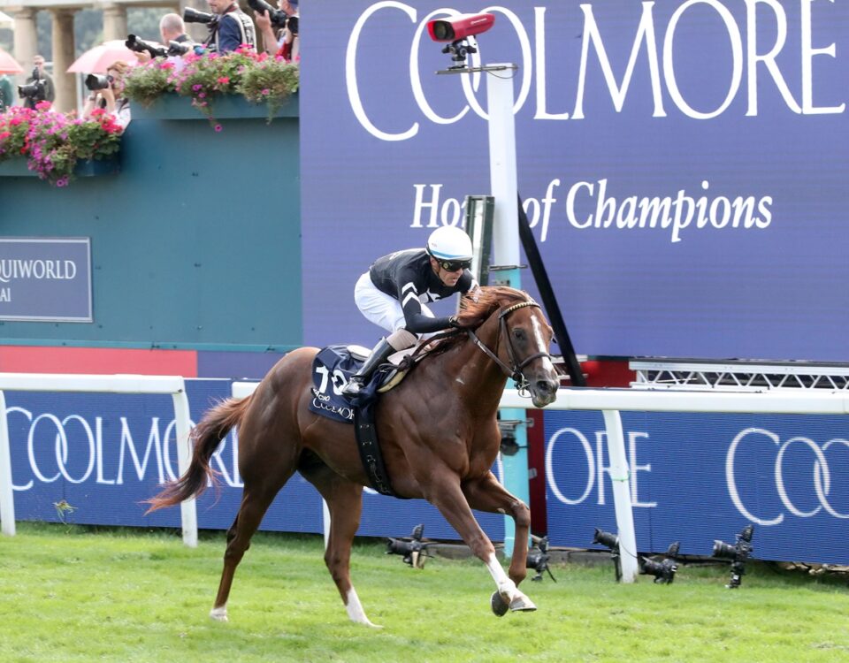 Bacio - Coolmore City Of Troy Nunthrope Stakes Group 1 - York Racecourse - Coady Media - Renee Torbit