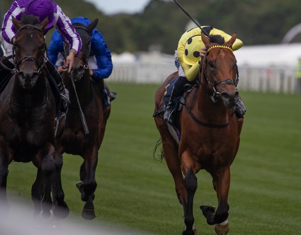 Bow Echo *Ire (derecha) - Julie Wright - Daily Racing Form