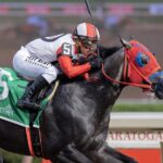 Buttah - Barbara D. Livingston - Daily Racing Form