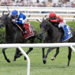 Chummers - Barbara D. Livingston - Daily Racing Form