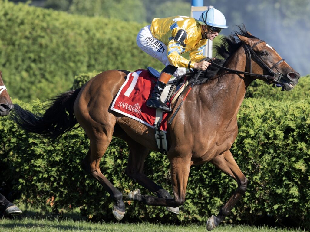 Evershed (Ire) - Barbara D. Livingston - Daily Racing Form