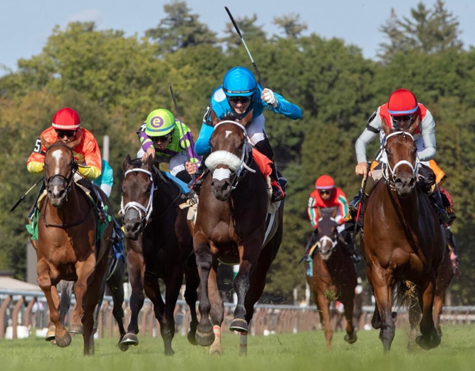 Go for Launch -Bolton Landing Stakes - Saratoga - Barbara D. Livingston - Daily Racing Form