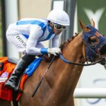 Gold Phoenix (Ire) - Del Mar H. G2 (2025) - Benoit Photo