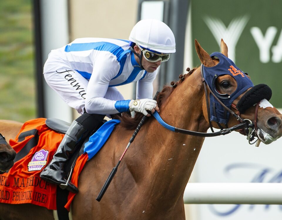 Gold Phoenix (Ire) - Del Mar H. G2 (2025) - Benoit Photo