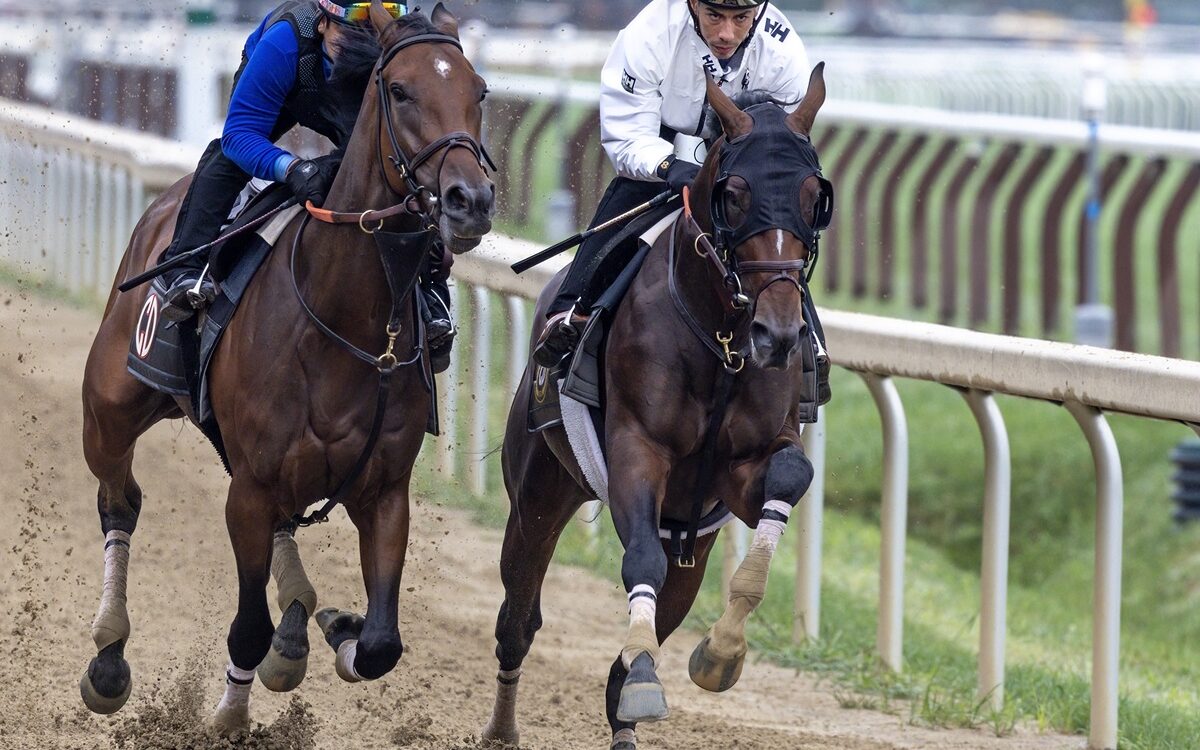 Golden Tempo - Debbie Roma - Daily Racing Form