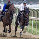 Golden Tempo - Debbie Roma - Daily Racing Form