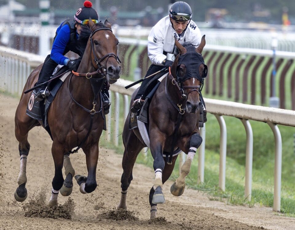 Golden Tempo - Debbie Roma - Daily Racing Form