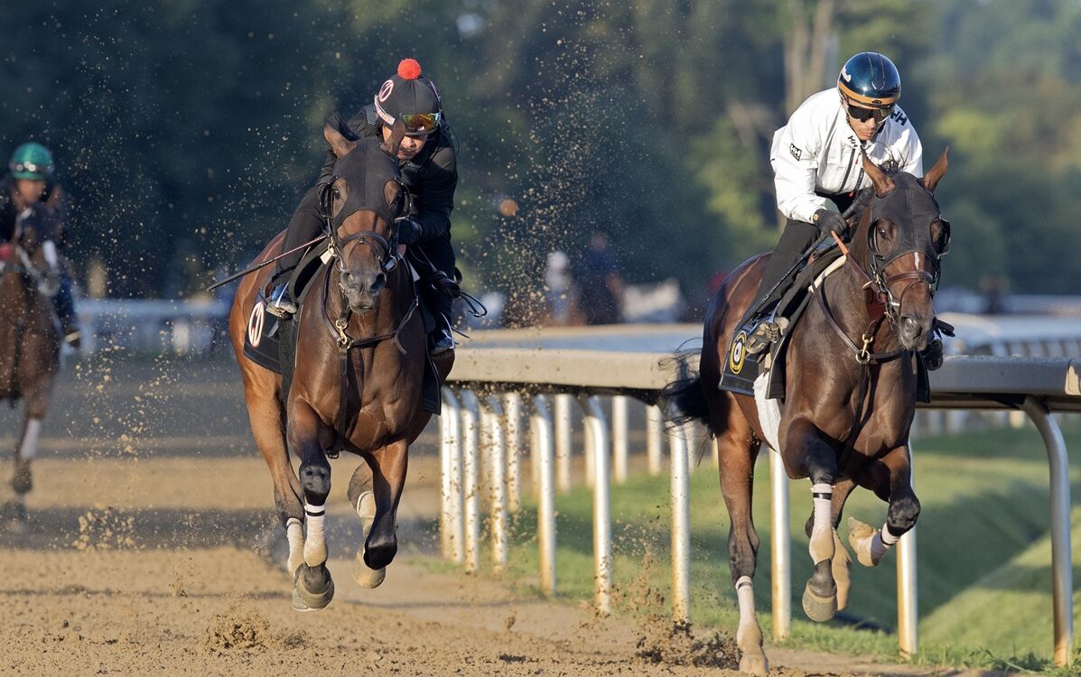 Golden Tempo (parte interna) - Barbara D. Livingston - Daily Racing Form