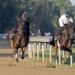Golden Tempo (parte interna) - Barbara D. Livingston - Daily Racing Form