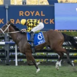 Autumn Glow winning the WINX STAKES (G1) at Randwick in Australia Picture: Bradly Photos