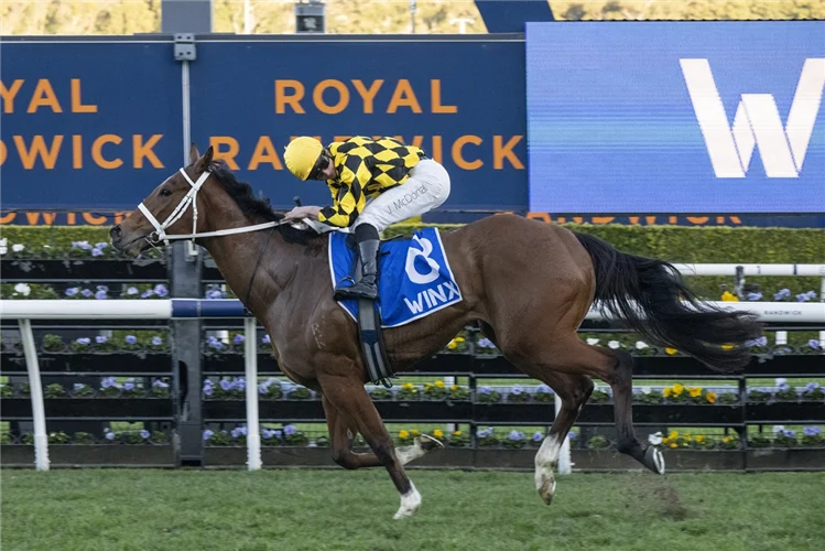 Autumn Glow winning the WINX STAKES (G1) at Randwick in Australia Picture: Bradly Photos