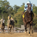 Iron Orchard - Barbara D. Livingston - Daily Racing Form