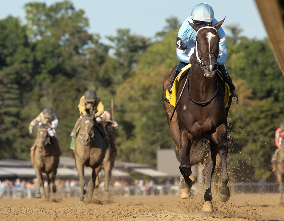 Iron Orchard - Barbara D. Livingston - Daily Racing Form