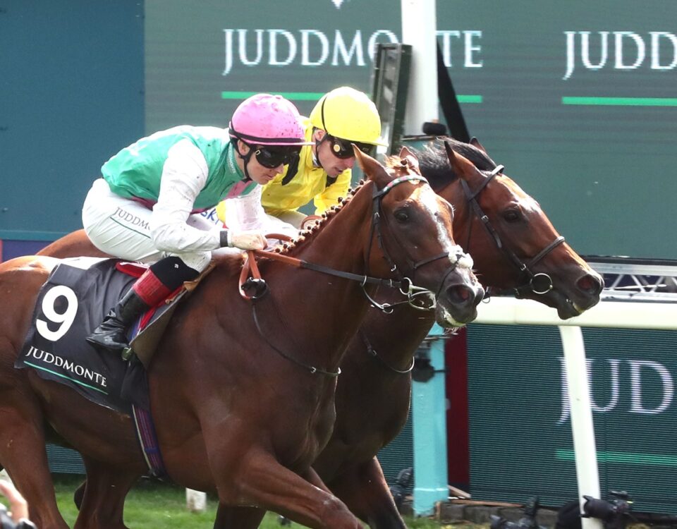 Item - Juddmonte International Stakes Group 1 - York Racecourse - Coady Media - Renee Torbit