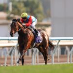 Ka Ying Rising - photo credit Hong Kong Jockey Club