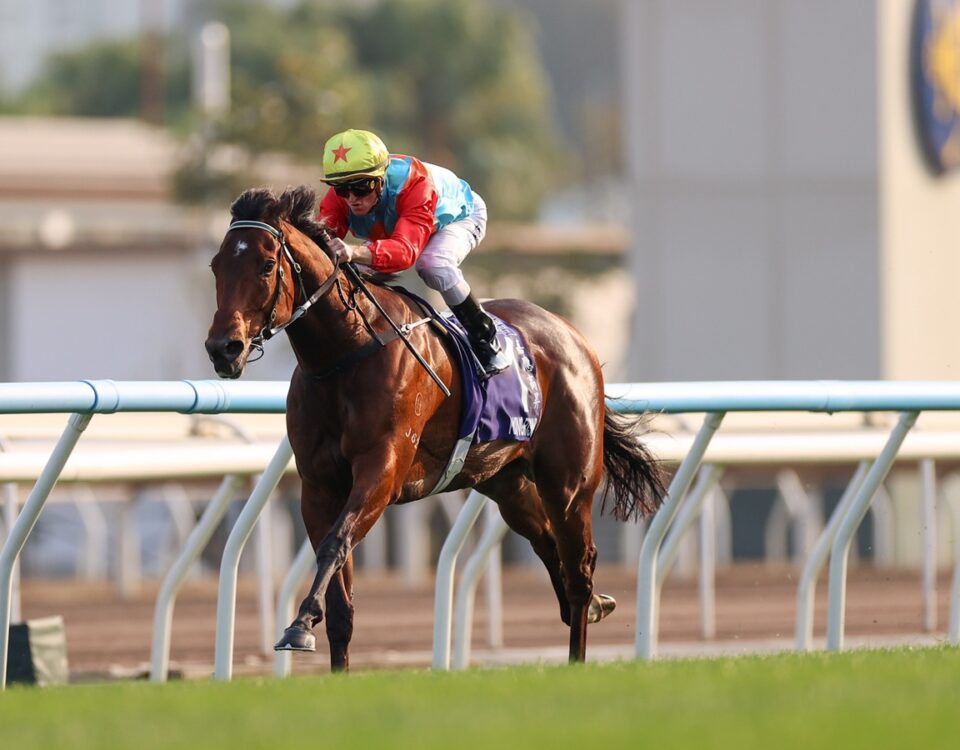 Ka Ying Rising - photo credit Hong Kong Jockey Club