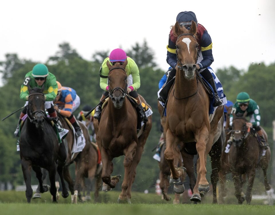 Kensington Lane (Ire) - Barbara D. Livingston - Daily Racing Form
