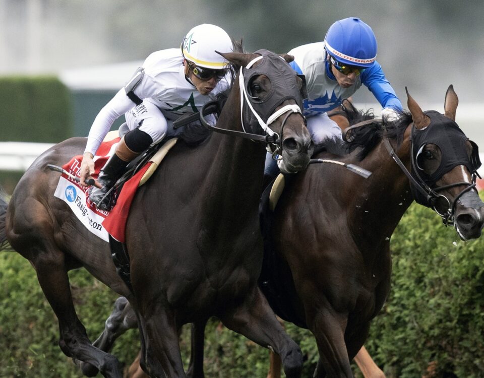 Kentucky Belle - Barbara D. Livingston - Daily Racing Form