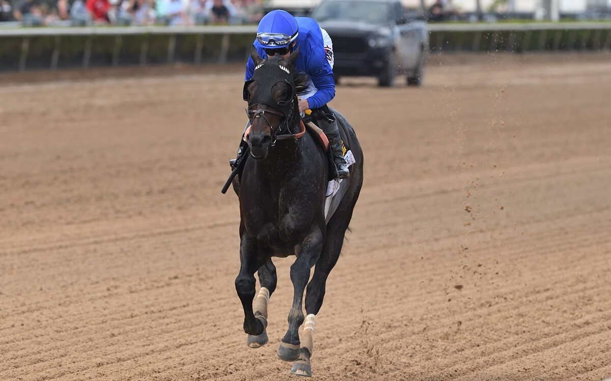 Knightsbridge - Coglianese Photo - Ryan Thompson